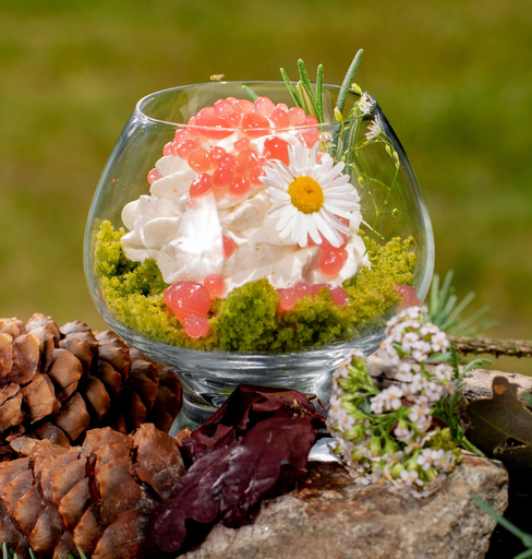 Food & Drinks 4, Chateau Třešť, Jihlava