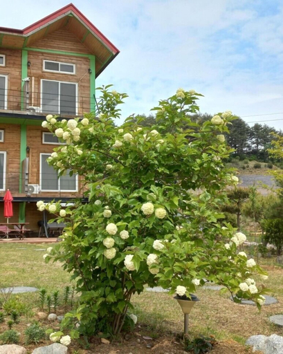 Exterior & Views 2, Daegwanryeong Genie House, Pyeongchang