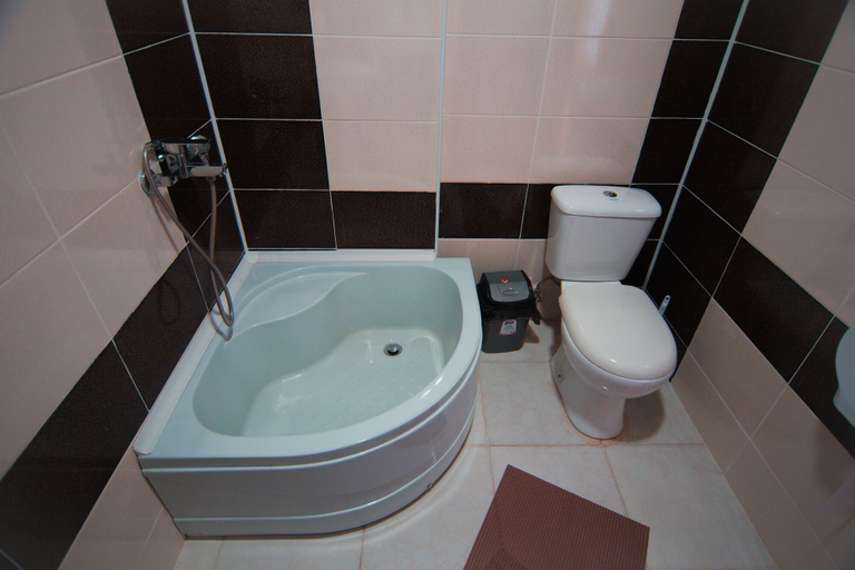 Bathroom 2, Hotel Tsiskari, Telavi