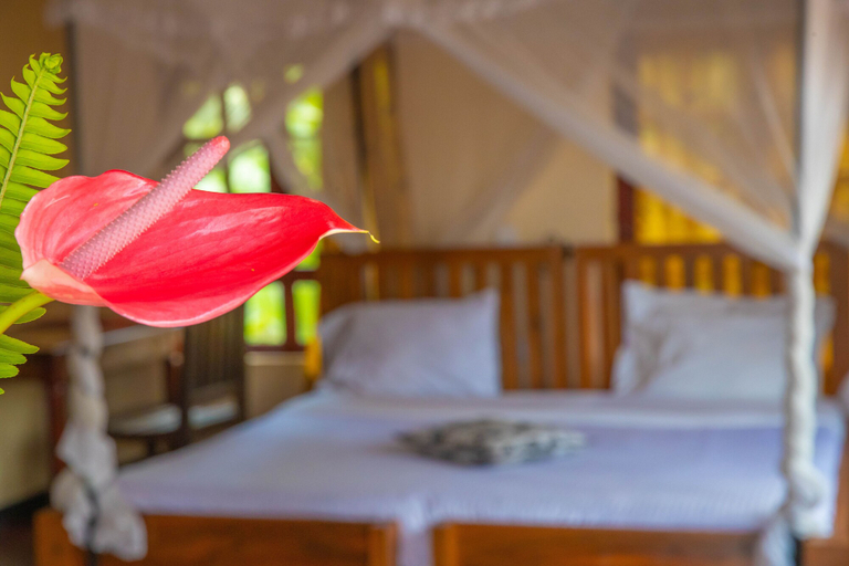 Bedroom 3, Christina House, Meru