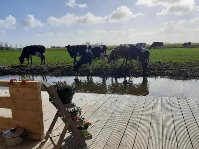 Others 4, Prive Jacuzzi, Cows, Dairyfarm, Relaxing, Sleeping, Franekeradeel