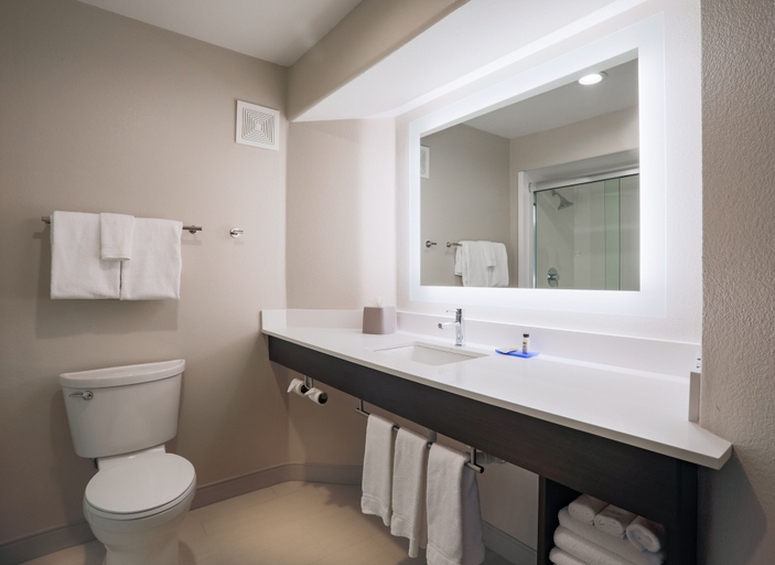 Bathroom 5, Holiday Inn Express PRESCOTT by IHG, Yavapai