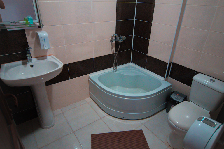 Bathroom 4, Hotel Tsiskari, Telavi