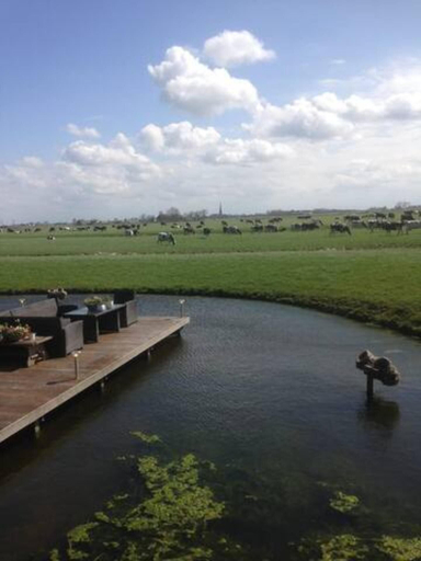 Others 5, Prive Jacuzzi, Cows, Dairyfarm, Relaxing, Sleeping, Franekeradeel