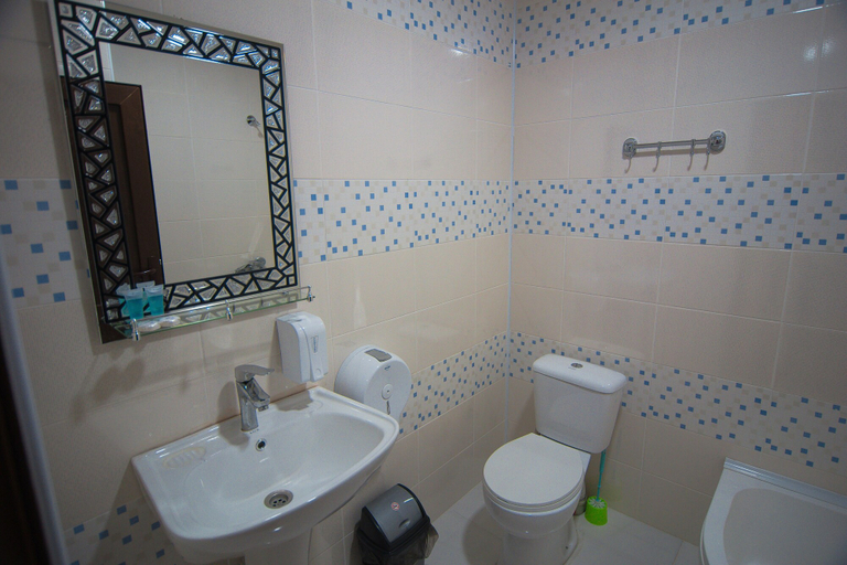 Bathroom 5, Hotel Tsiskari, Telavi
