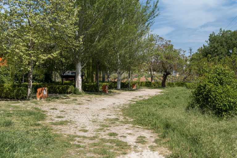 Others 5, Slow Life Camping Venta del Moro, Valencia