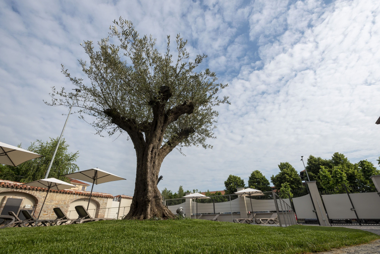 Exterior & Views 2, Villa Bernasconi - camere e ristorante -, Cuneo