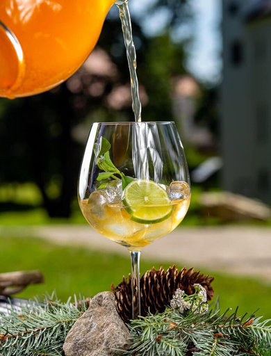 Food & Drinks 5, Chateau Třešť, Jihlava