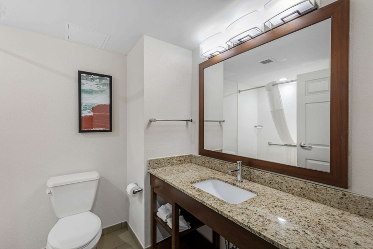 Bathroom 3, Comfort Inn US Hwy 80, Marengo