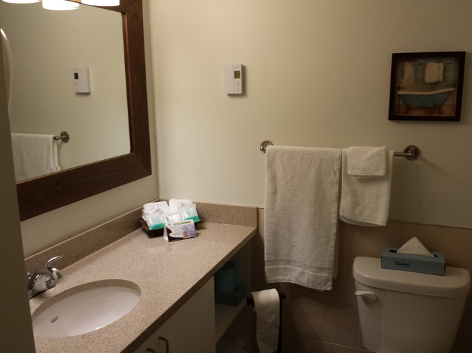 Bathroom 4, Hotel Vacances Tremblant, Les Laurentides