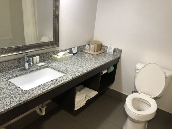 Bathroom 5, Quality Inn Rochester South, Fulton