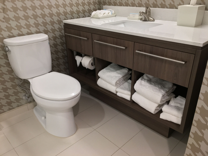 Bathroom 4, Home2 Suites by Hilton Brandon Tampa, FL, Hillsborough