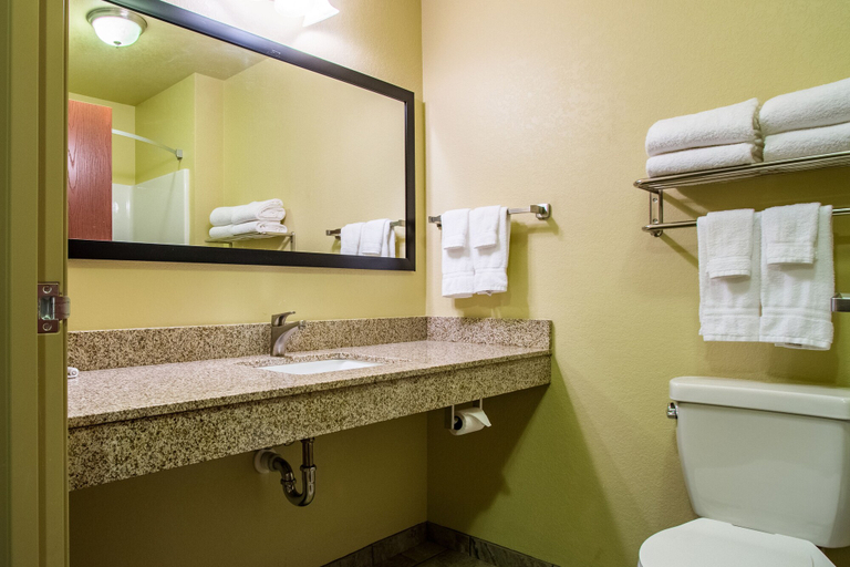 Bathroom 4, Cobblestone Hotel & Suites - Orrville, Wayne