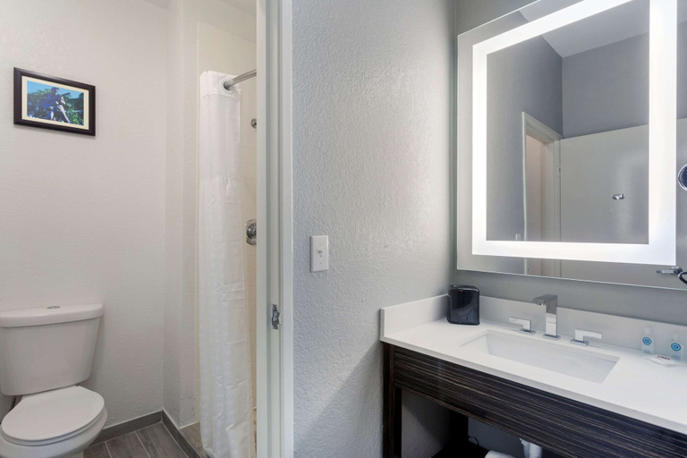 Bathroom 4, Comfort Inn & Suites Memphis East, Shelby