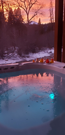 Sport & Beauty 4, The Wild Game Inn, Ravalli