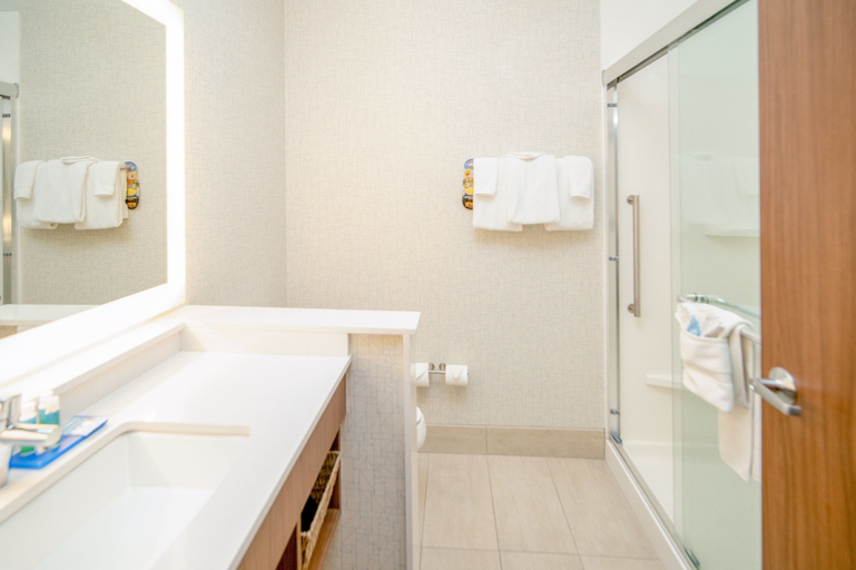 Bathroom 5, Holiday Inn Express HOUGHTON-KEWEENAW by IHG, Houghton