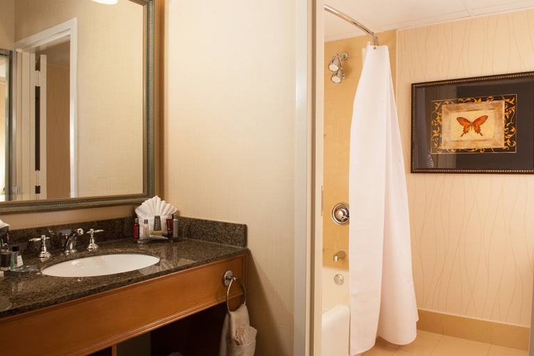 Bathroom 5, Greenville Marriott, Greenville