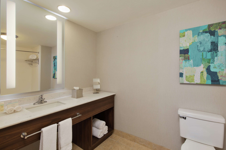 Bathroom 4, Homewood Suites by Hilton Lubbock, Lubbock