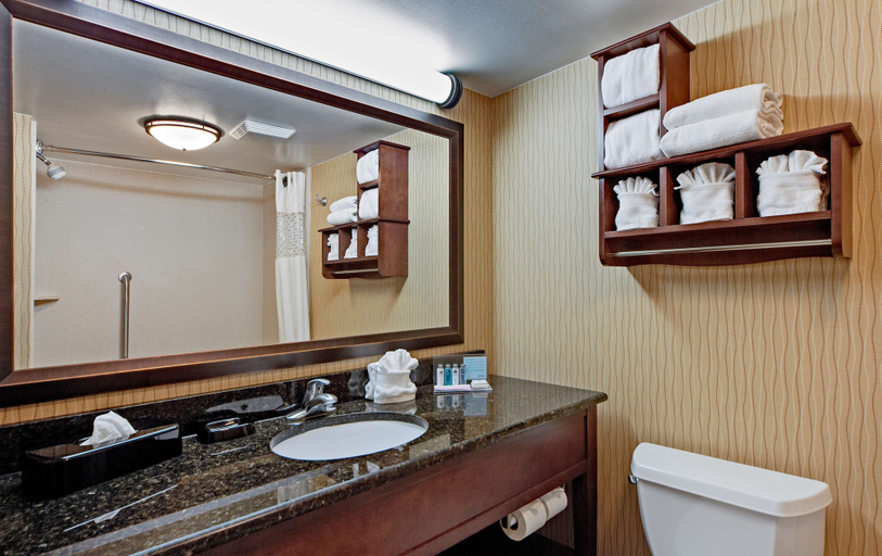 Bathroom 3, Hampton Inn Myrtle Beach Broadway at the Beach, Horry