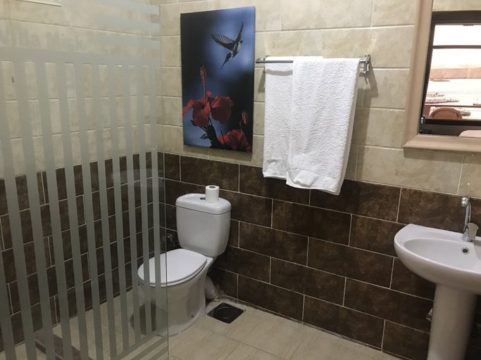Bathroom 5, Villa Misk, Aswan