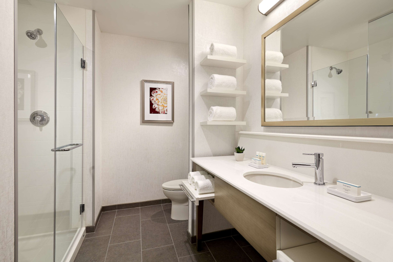 Bathroom 5, Hampton Inn Long Beach Airport, Los Angeles