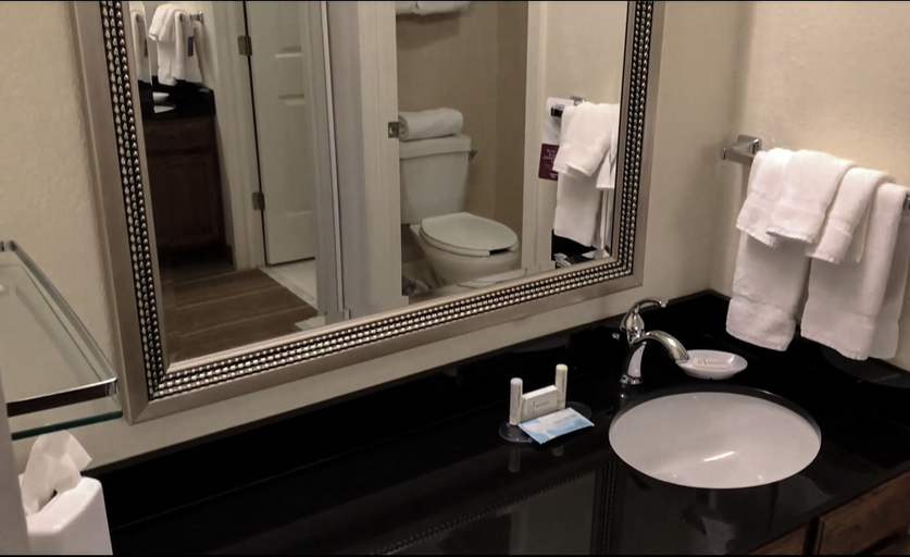 Bathroom 3, Residence Inn By Marriott Asheville Biltmore Village, Buncombe