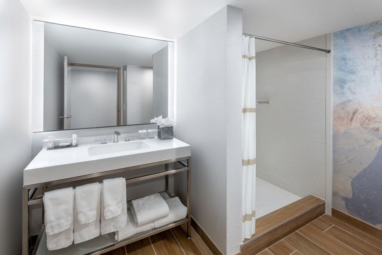 Bathroom 4, Marriott Madison West, Dane