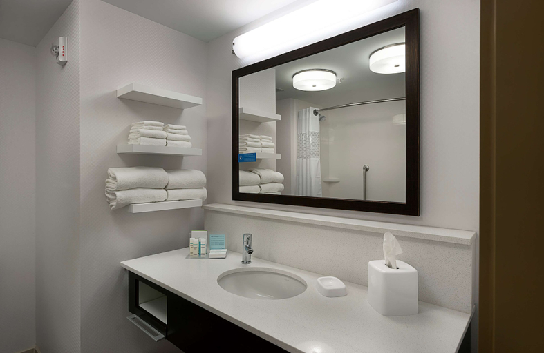 Bathroom 5, Hampton Inn & Suites Fort Mill, York