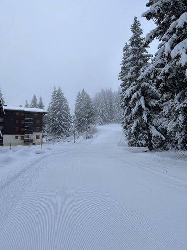 Others 4, La Foret des Rennes - Les Saisies, Savoie