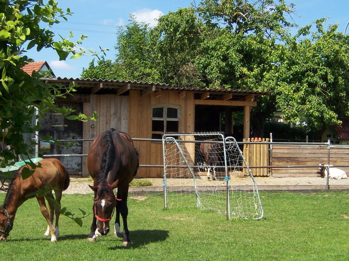 Others 4, Landhotel Zum Adler, Dillingen an der Donau