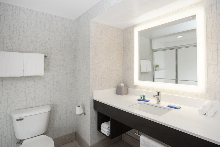 Bathroom 4, Holiday Inn Express & Suites CULPEPER by IHG, Culpeper