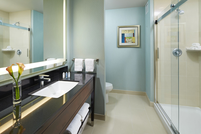 Bathroom 4, Hampton Inn San Diego/Mission Valley, San Diego