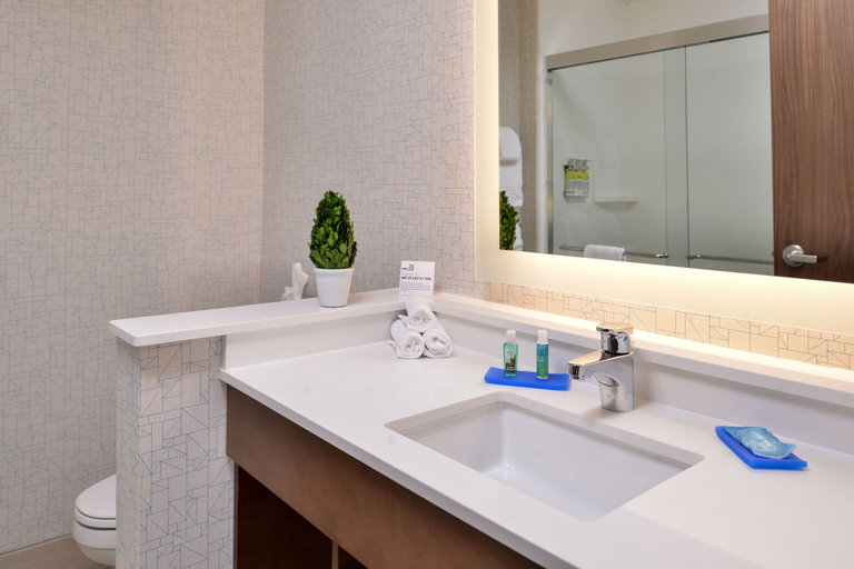 Bathroom 5, Holiday Inn Express & Suites WEST MELBOURNE, Brevard