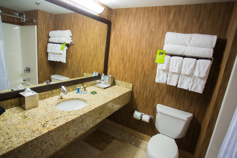 Bathroom 4, Wyndham Moline on John Deere Commons, Rock Island