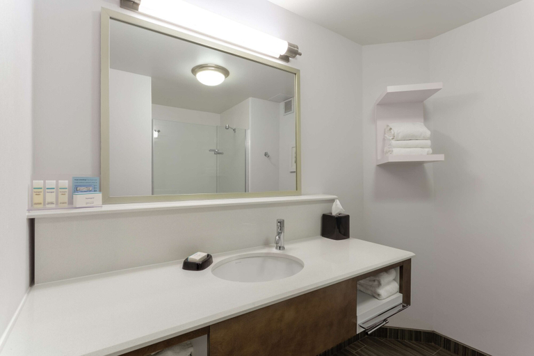 Bathroom 4, Hampton Inn Bloomington, Monroe