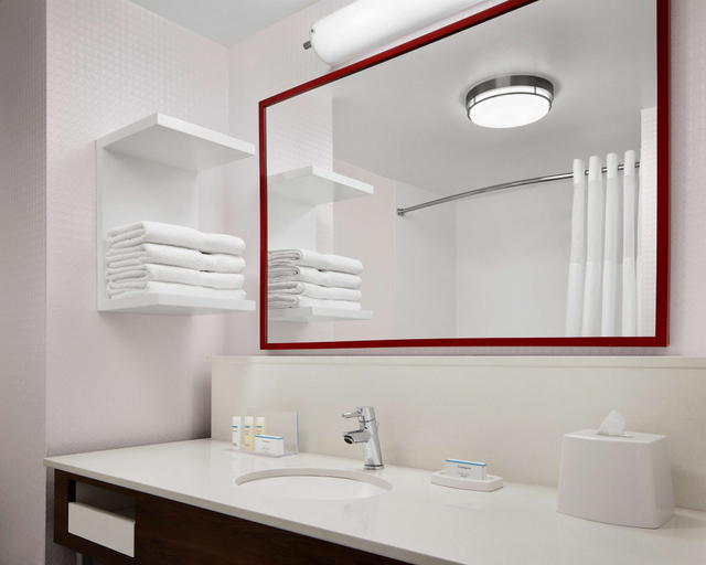Bathroom 4, Hampton Inn & Suites Charlotte Steele Creek, Mecklenburg