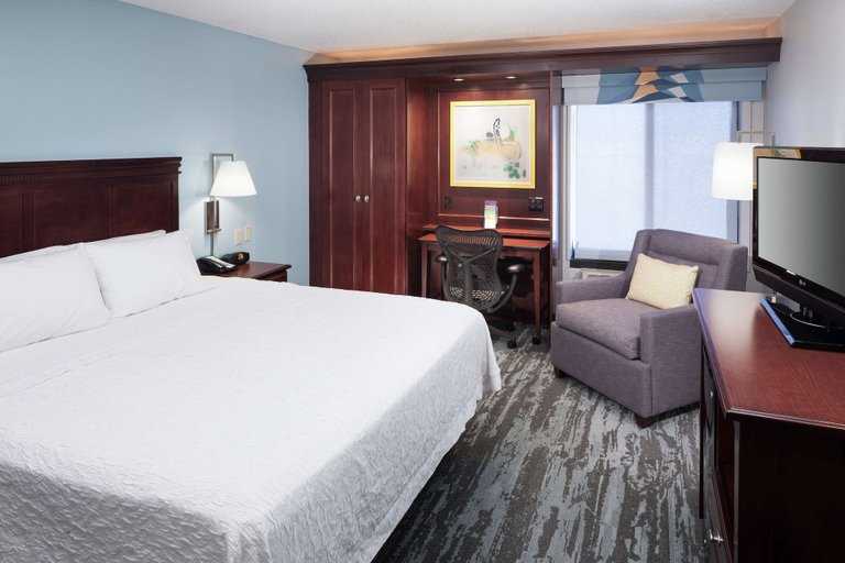 Bedroom 4, Hampton Inn Kansas City - Liberty, Kansas City