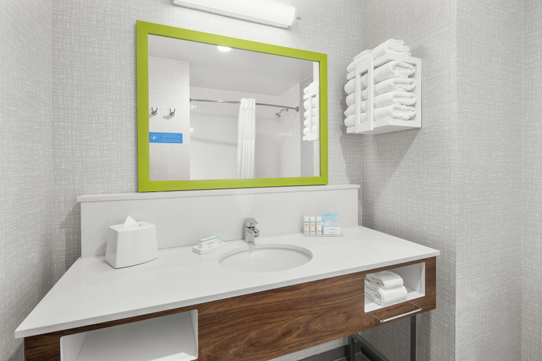 Bathroom 4, Hampton Inn Odessa Trinity, Pasco