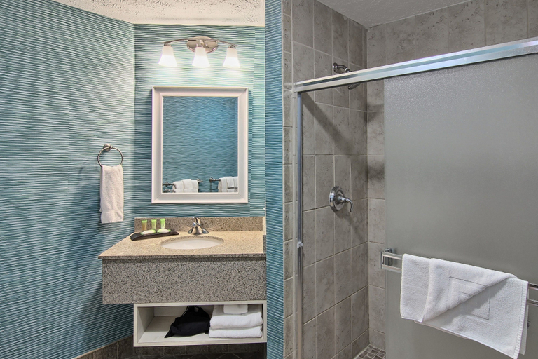 Bathroom 4, Grand Beach Resort Hotel, Grand Traverse