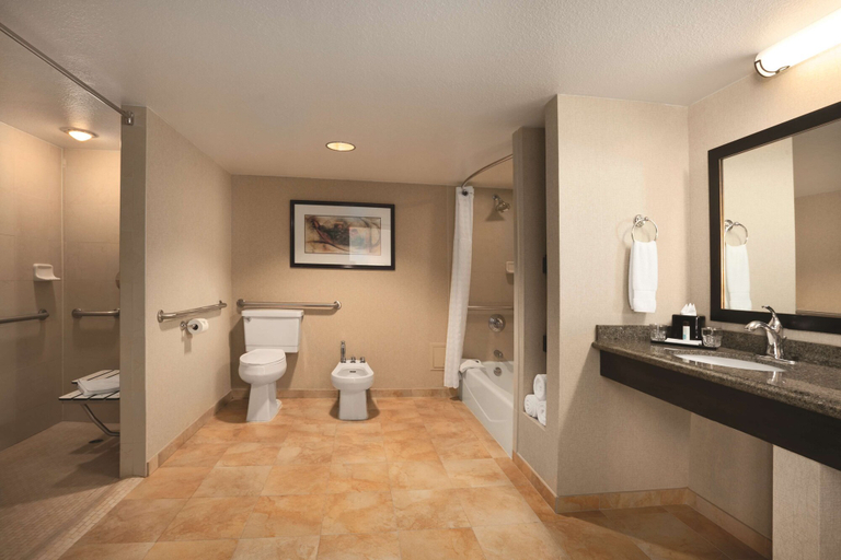 Bathroom 5, Embassy Suites by Hilton Phoenix Tempe, Maricopa