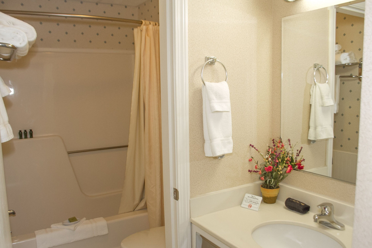 Bathroom 5, Flagship Inn and Suites, Lincoln