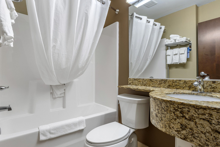 Bathroom 4, Microtel Inn & Suites By Wyndham Sylva Dillsboro Area, Jackson