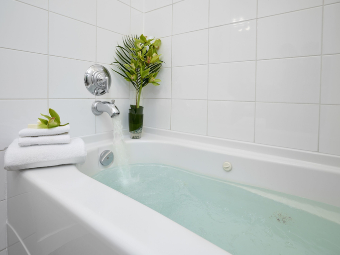 Bathroom 4, Metterra Hotel on Whyte, Division No. 11