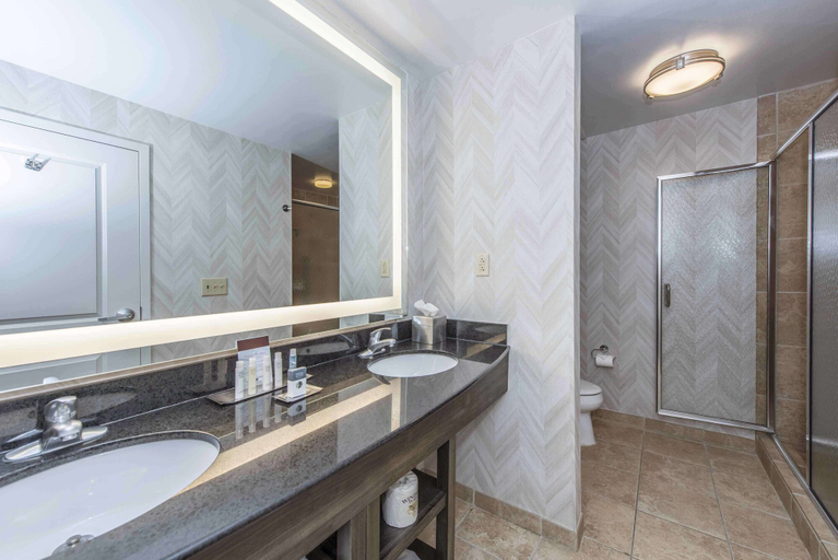 Bathroom 5, DoubleTree by Hilton North Charleston - Convention Center, Charleston
