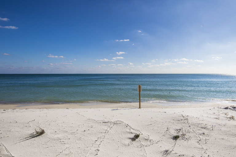 Others 5, Surfside Shores 1501, Baldwin