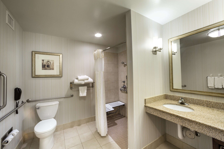 Bathroom 4, Hilton Garden Inn Hampton Coliseum Central, Hampton