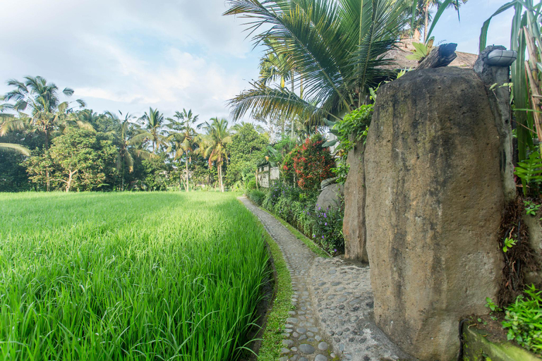 Others 4, Ubud Luwih Nature Retreat, Gianyar