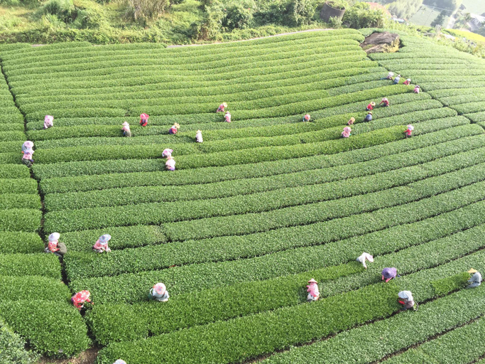 Others 4, Shan Ming Show B&B, Chiayi County