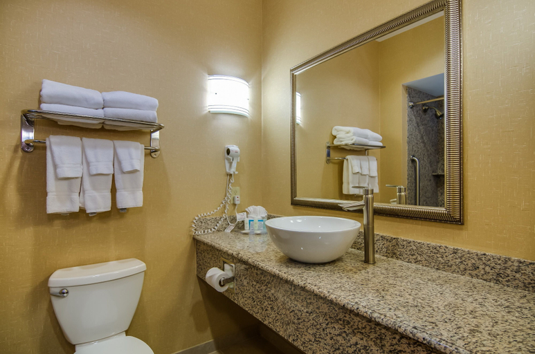 Bathroom 5, Comfort Suites Old Town Spring, Houston