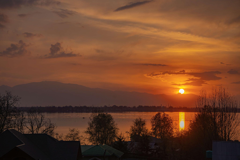 Others 5, Zostel Srinagar, Srinagar
